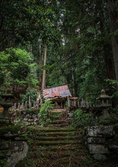 君は僕の"生贄"