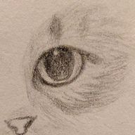 ゆうｼﾞｬﾅｲﾖ@低浮上さんのアイコン画像