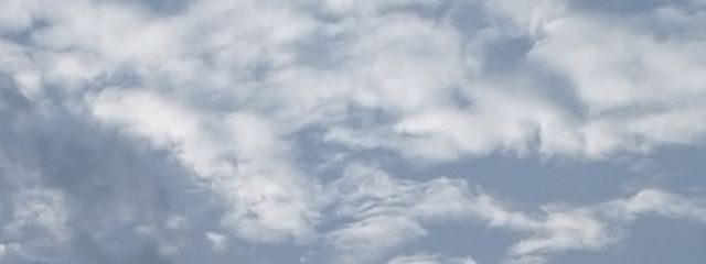 ひさき太郎さんの壁紙画像
