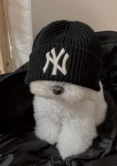 お久しぶりです！