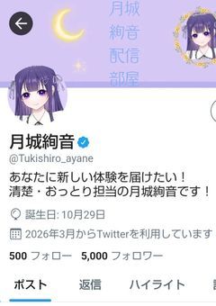 Xみたいなの