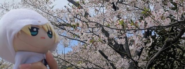 Tukasaさんの壁紙画像