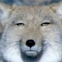 ちべすな