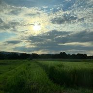 つむぎさんのアイコン画像