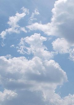 こ の 恋 が 実 る 確 率 は 0 % 以 下 。