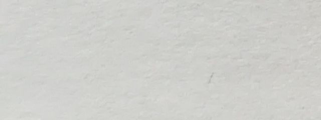 あーもんどさんの壁紙画像