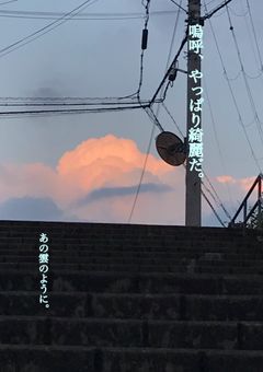 嗚呼、やっぱり綺麗だ。
