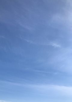 石の世界で貴方と。