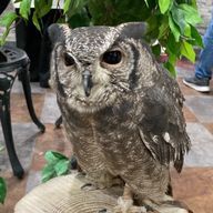 ゆずさんのアイコン画像