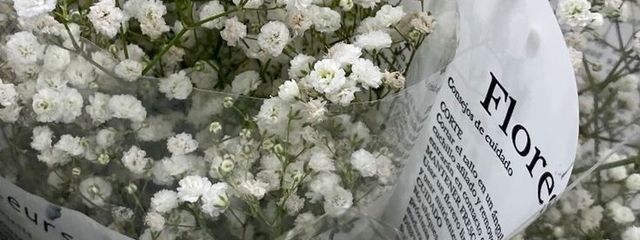 　　　　레이　さんの壁紙画像