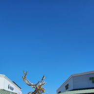 mibeさんのアイコン画像