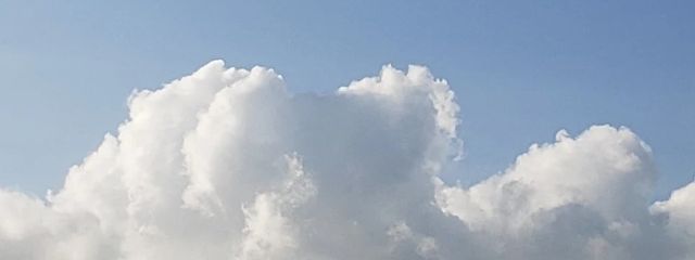 結ノ羽さんの壁紙画像