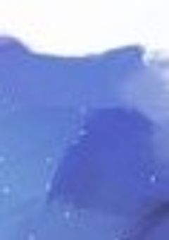 忍者の誇りと君への殺意と忠誠