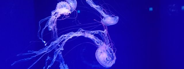 るな ＠あいあむごっどさんの壁紙画像