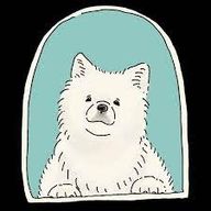 🌵さんのアイコン画像