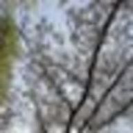 fwfwsnowさんのアイコン画像