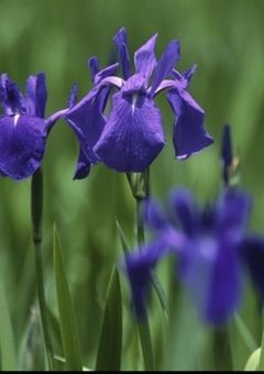 あなたと出会ったその日から