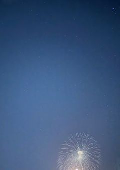 常夏の恋慕【合作】