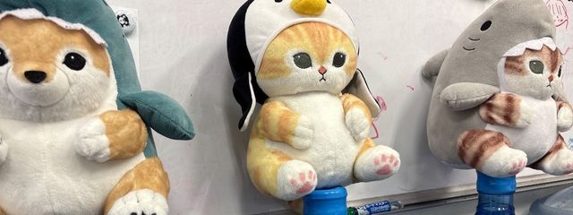 半生アップルパイさんの壁紙画像