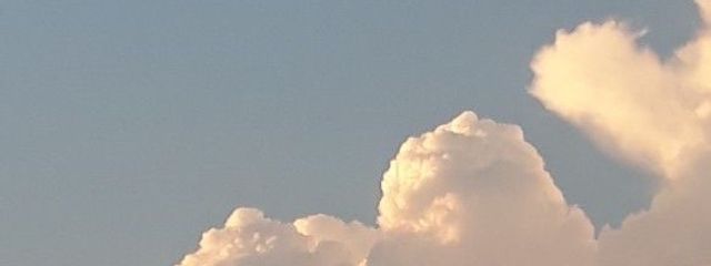 With .🪽🏹さんの壁紙画像