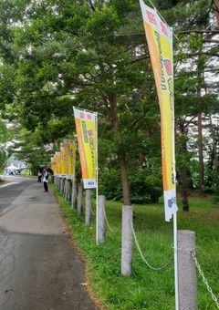 今年、私の町会議は......