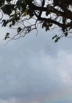 タムと紅一点の日常