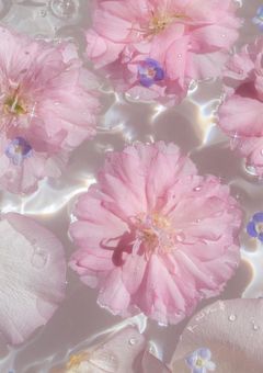 性処理係になりました .