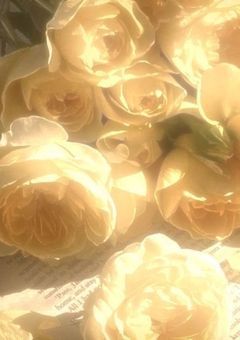 このクラス , 供給多すぎます ｡