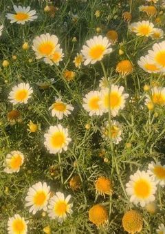 やっぱり  、2人はできていました ．