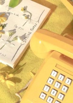 姪っ子発言されました