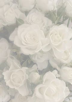 猫に恋をした ．