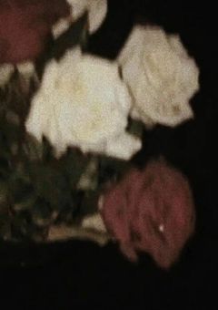 天    使    の    花    嫁    【79】