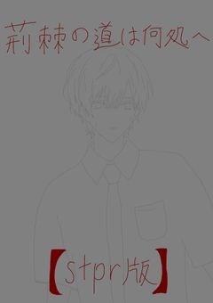 荊棘の道は何処へ【stpr版】