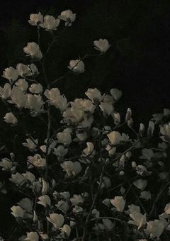 僕  と  ヒ  ョ  ン  は  ＿＿＿  ‎。 ❌