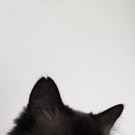 𝐲𝐮𝐧𝐨 .さんのアイコン画像