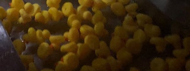 海月さんの壁紙画像