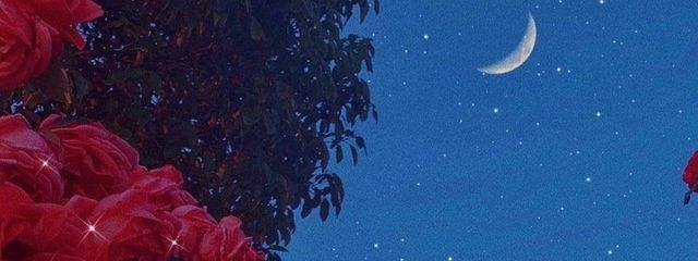 ぺぺろんちーのさんの壁紙画像