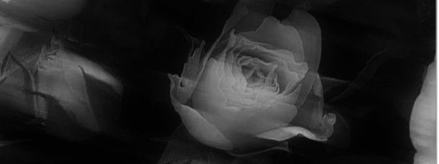 みはなさんの壁紙画像