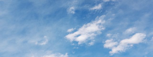 レイさんの壁紙画像