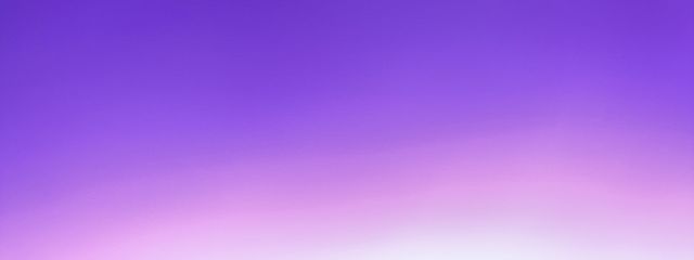 しいらさんの壁紙画像