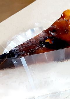 人の不幸は蜜の味…？