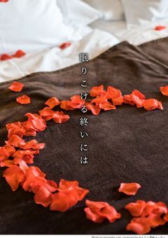 眠りこける終いには