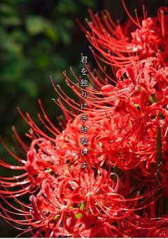 君を独りにさせないよ