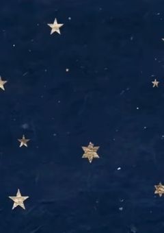 いつまで‘’秘密”に出来るかな。