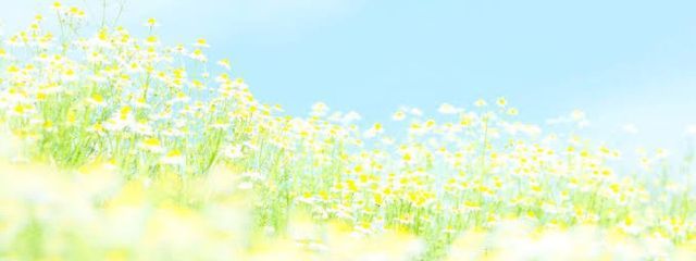 lemonさんの壁紙画像