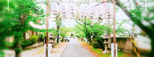 名無しさんの壁紙画像