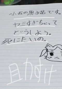 作者の初めてのお話部屋ฅ^•ω•^ฅ