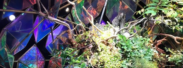 月見のサブ垢さんの壁紙画像