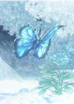 蝶と雨　【鬼滅の刃】