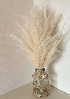 胡蝶家の末っ子は胡蝶と名乗らない【伊黒小芭内】